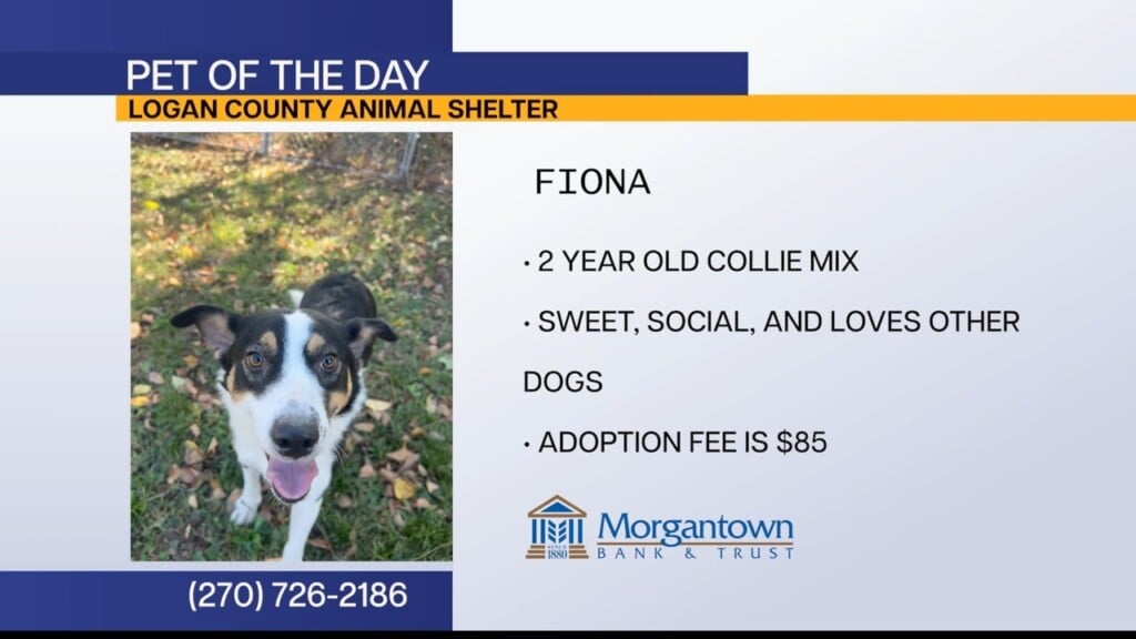 Potd Fiona 10.19.26
