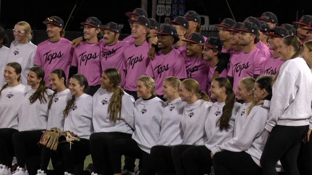Bat Out Breast Cancer Cover Pic