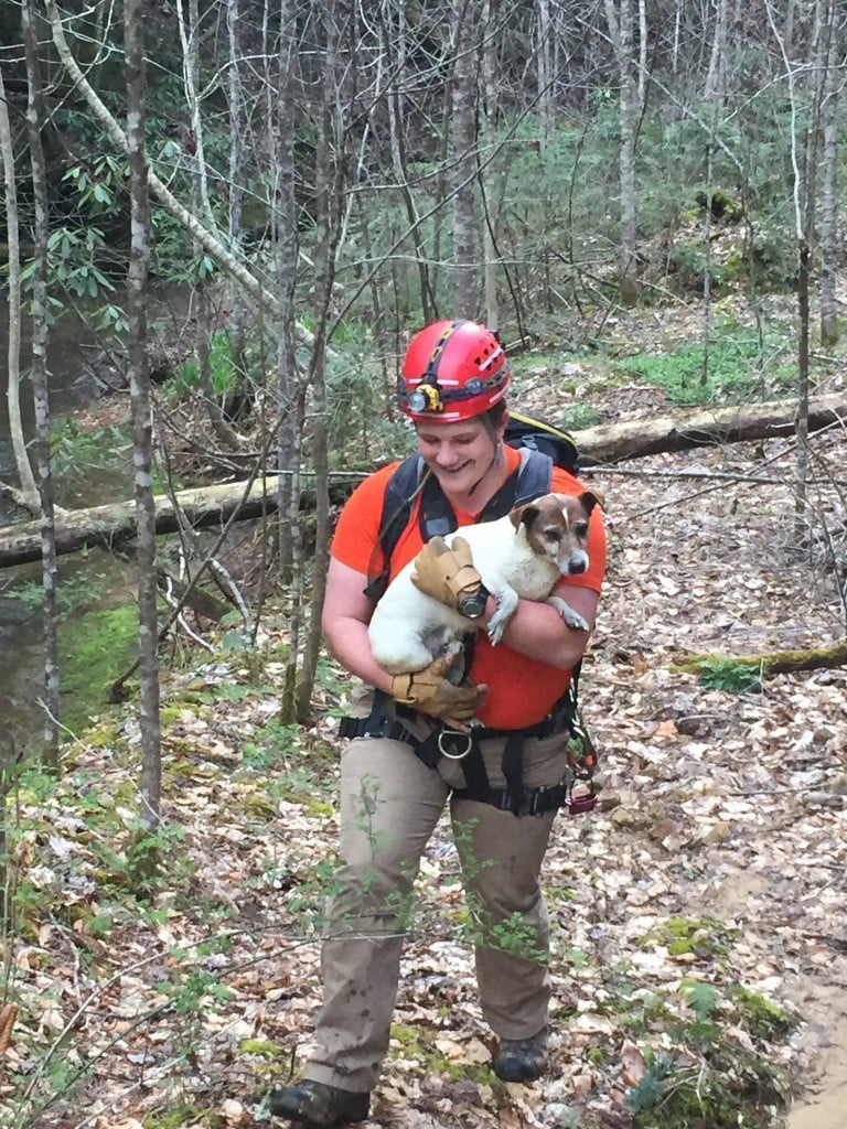 Dog falls into ravine