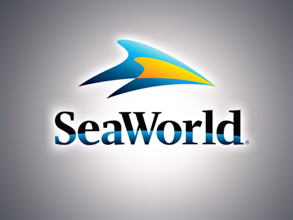 Police: More than a dozen people rescued from SeaWorld ride