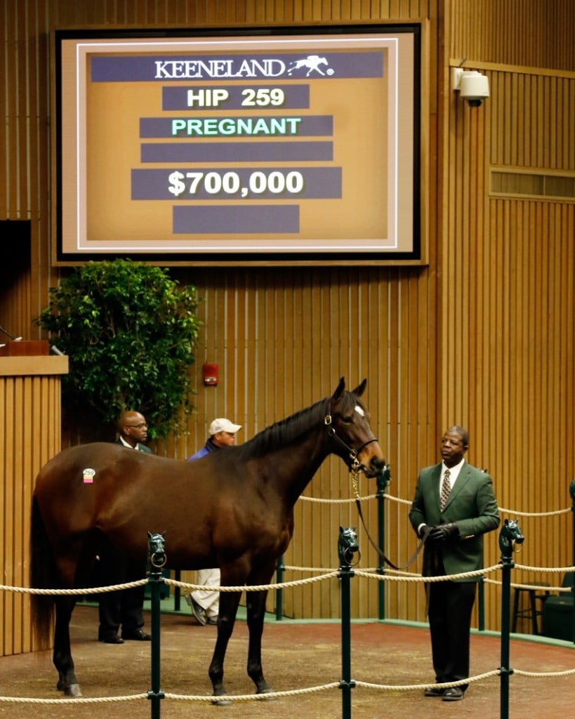 'Summer Solo' tops opening day of Keeneland's January Horses of All Ages Sale 1-11-16