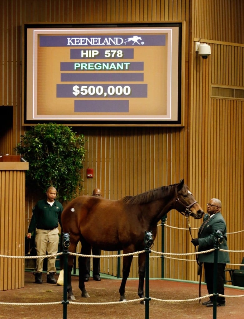 Roan Inish tops day 2 of Keeneland January Horses of All Ages Sale 1-12-16