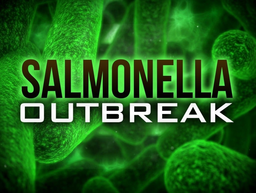 Salmonella Outbreak