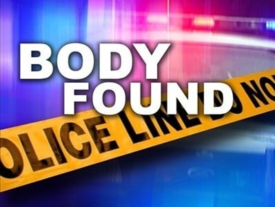 Body