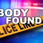 Body