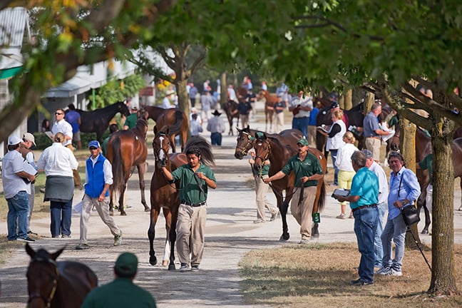 Keeneland September Yearling Sale 2015