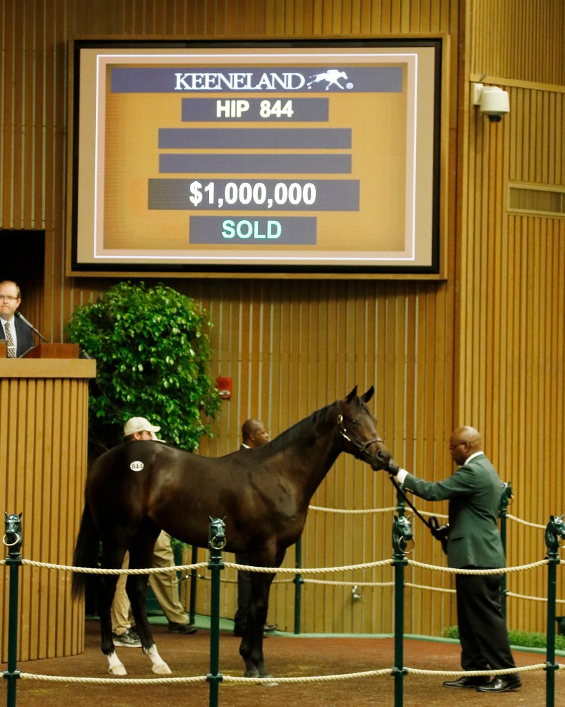 Orb colt sells for $1 million at Keeneland's September Yearling Sale 9-13-17
