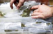 JP Noda stocks cannabis at The Apothecarium shortly before the store opened for its first day of recreational marijuana sales on Saturday