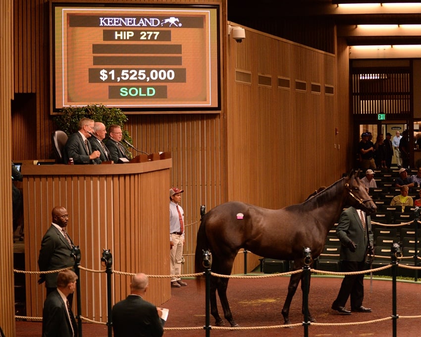'Distorted Humor' colt brings $1.525 million to top day 2 of Yearling Sale at Keeneland