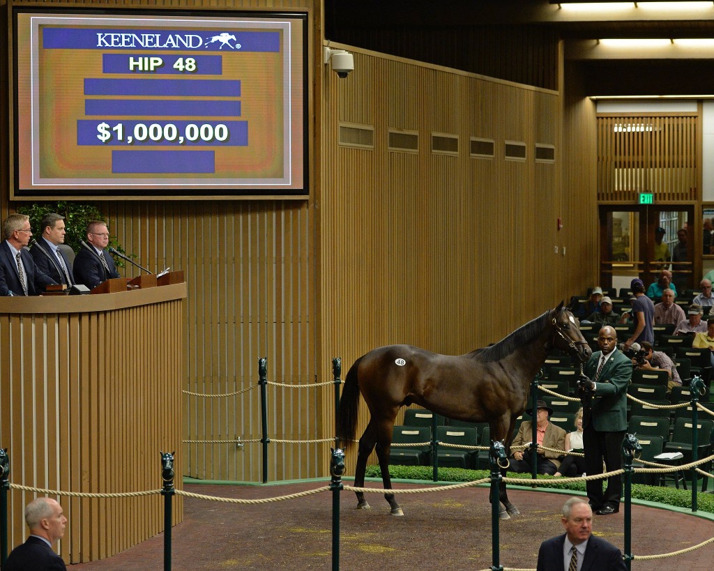 Medaglia d'Oro colt brings $1 million to top opening day of sales at Keeneland September Yearling Sales 9-12-16