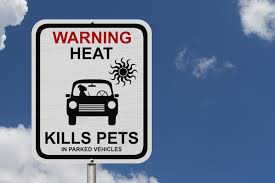 Heat warning sign for pets