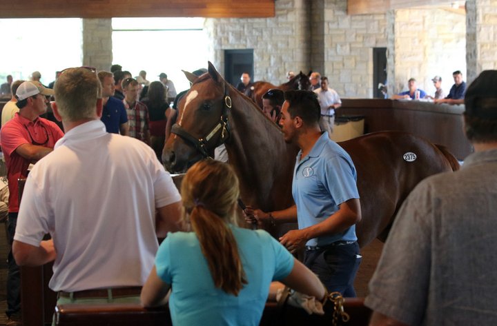 Large crowd at Keeneland for day 9 of the September Yearling Sale 9-21-16