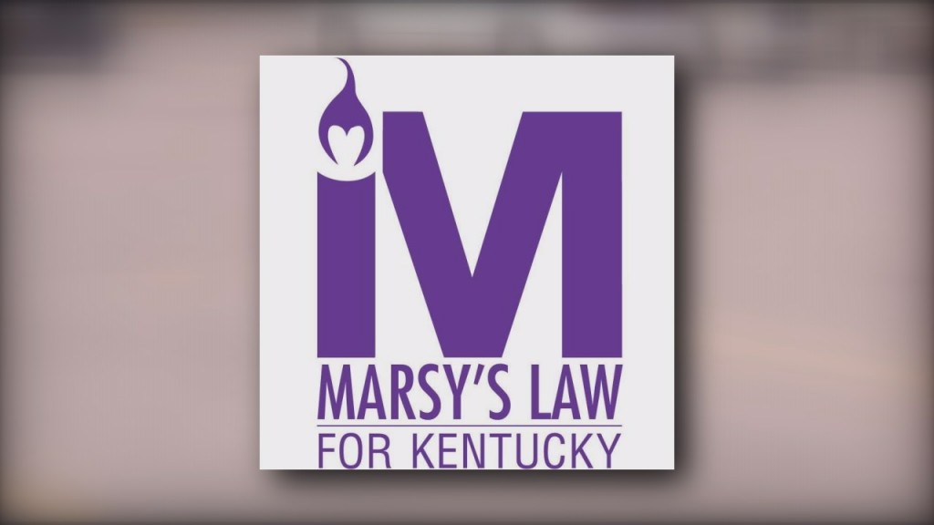 Kentucky justices review 'Marsy's Law' ballot language