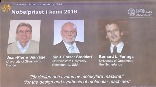 The Royal Academy of Sciences members  reveal the winners of the Nobel Prize in Chemistry
