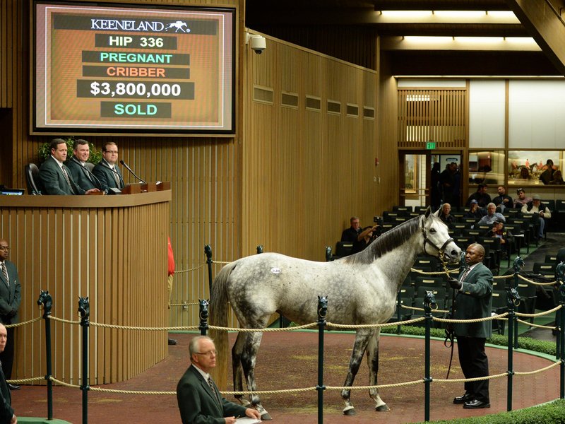 Unrivaled Belle brings $3.8 million at Keeneland's November Breeding Stock Sale 11-9-16.  Highest price paid at public auction in the world in 2016
