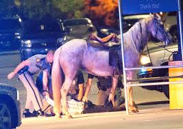 Danny Cook arrested in Stanford blocking traffic on his horse 9-17-17
