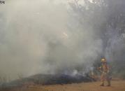 A firefighter is covered in smoke as he monitors a wildfire along a fire road Tuesday