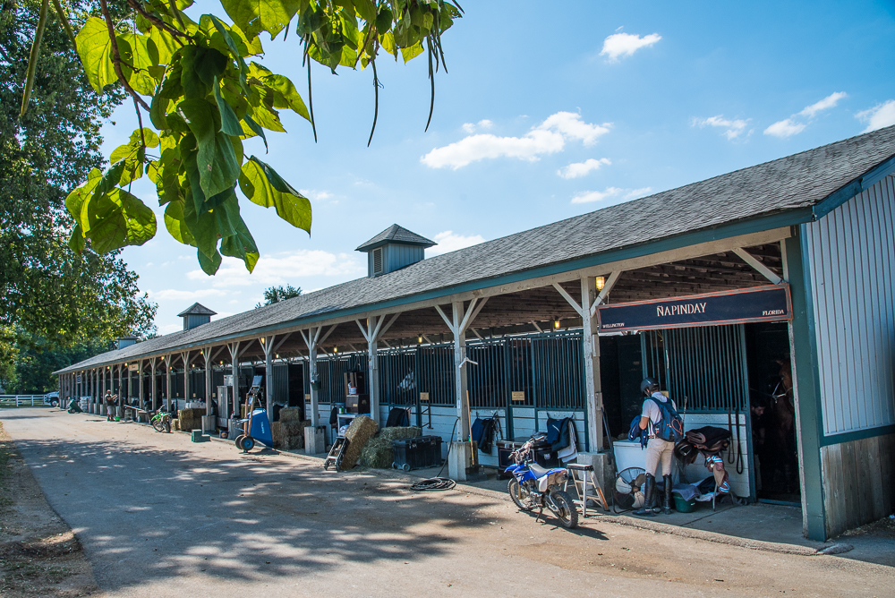 Kentucky Horse Park stalls