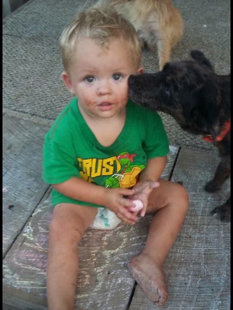Logain Chumbley missing toddler found safe Casey County 9-19-16