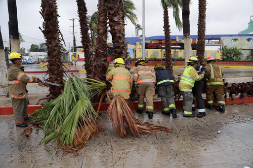 Firemen removed a palm tree felled by Hurricane Newton in Cabo San Lucas