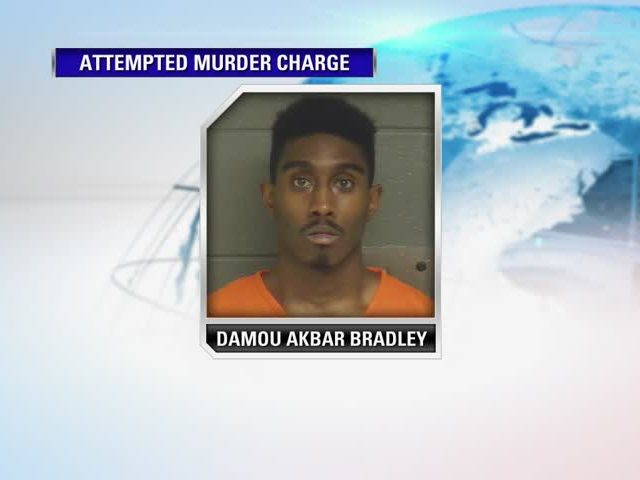 Damou Akbar Bradley