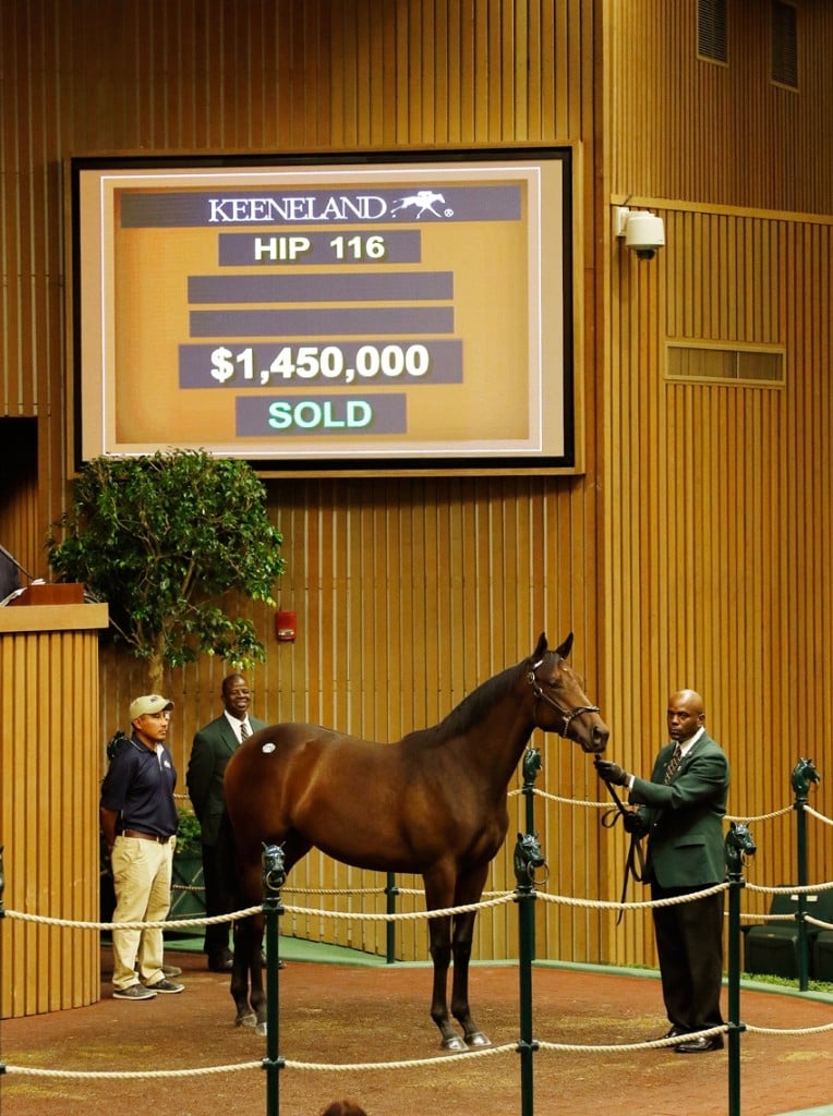 'War Front' filly tops opening day sale at Keeneland September Yearling Sale 9-14-15