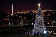 The 2017 Capitol Christmas Tree is lit on the West Lawn of the U.S. Capitol