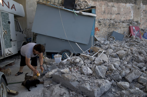 A woman feeds puppies next to rubble