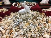 This photo taken July 27