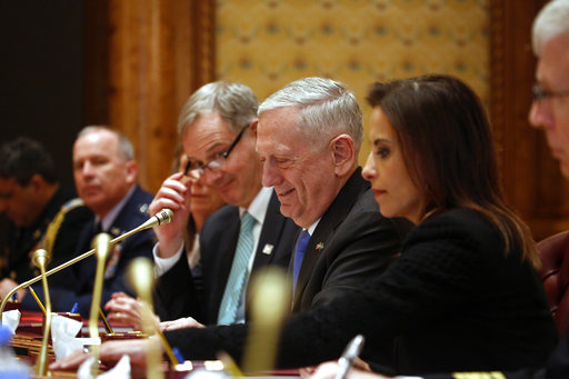 U.S. Defense Secretary James Mattis (C)