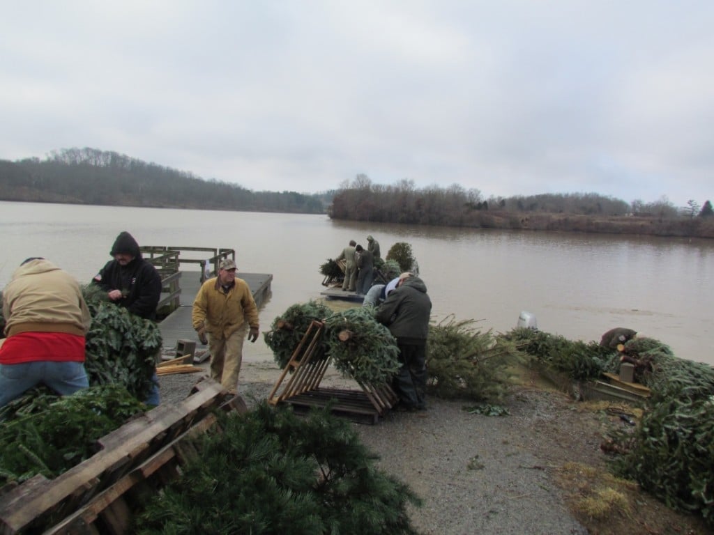 Christmas tree recycling fish habitat improvement fish and wildlife in Kentucky