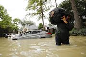 Patrick Tobias carries a bag of items from his apartment building flooded by Tropical Storm Harvey