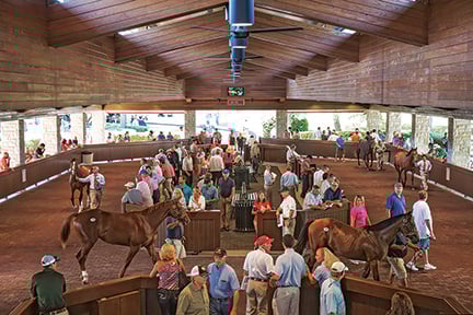 Keeneland September Yearling Sales 2016