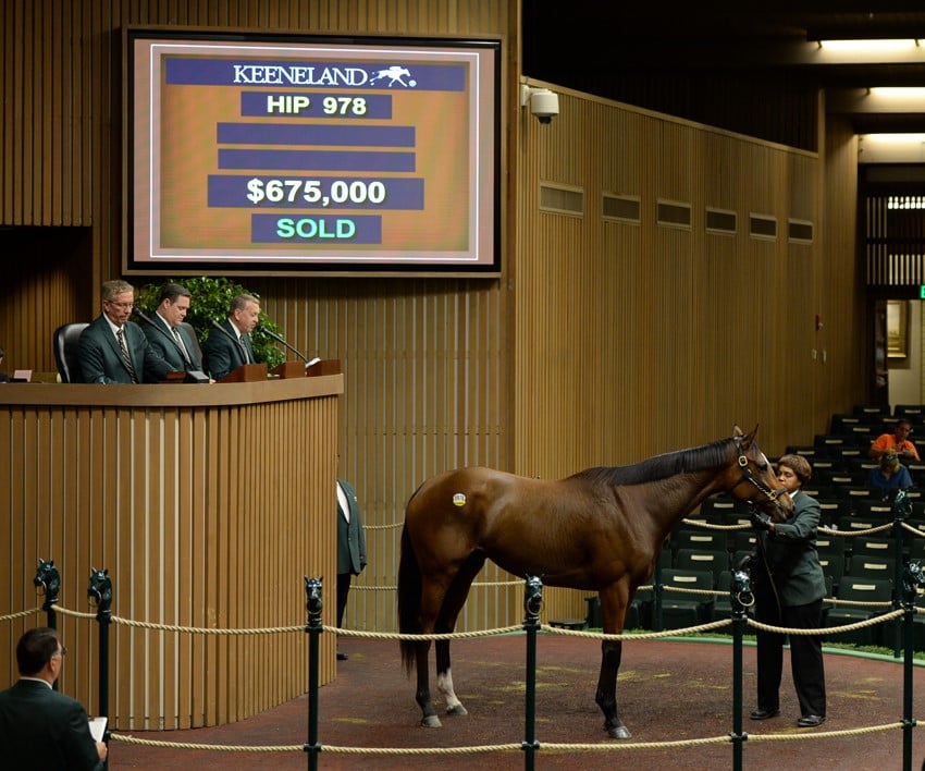 3-year old filly 'Don'tforgetaboutme' tops day 4 of November Breeding Stock Sale at Keeneland 11-5-15