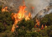 A crew with California Department of Forestry and Fire Protection (Cal Fire) battles a brushfire on the hillside in Burbank