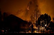 Trees burn behind houses in a residential area in Santa Rosa