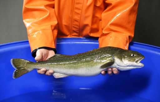 In this photo taken March 28