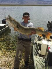 This Aug. 2015 photo provided by the Nevada Department of Wildlife shows state fisheries biologist Kim Tisdale holding one of the Northern pike removed from Comins Lake in eastern Nevada during an effort to eradicate the invasive predators. The agency is offering a $10