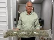 In this photo taken Nov. 28