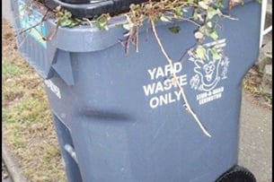 Curbside Yard Waste Collection Resumes March 1