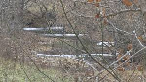 Bio-Diesel leak from Love's Travel Stop in Scott County into Little Eagle Creek