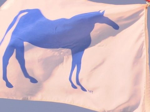 Community Flag