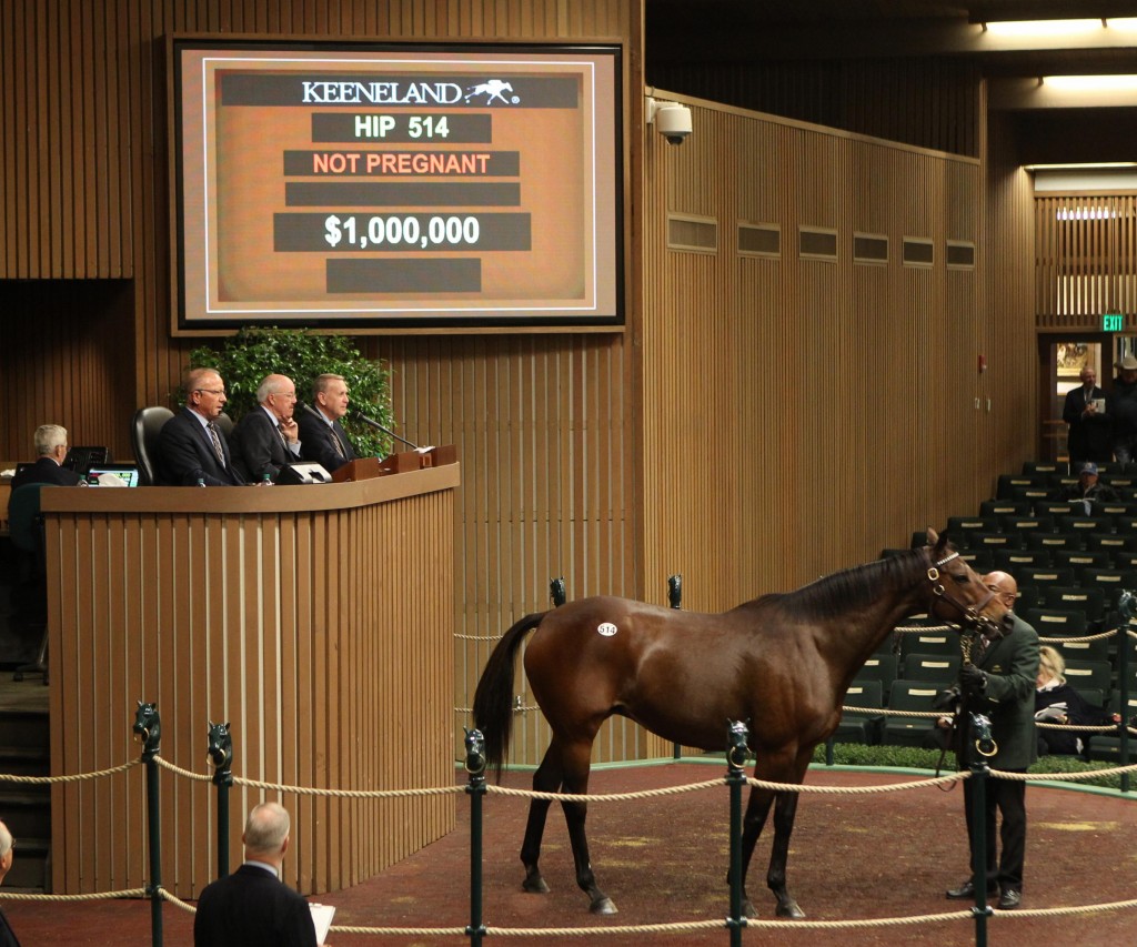 Fools in Love sells for $1 million to top Keeneland's November Breeding Stock Sale on 11-9-17