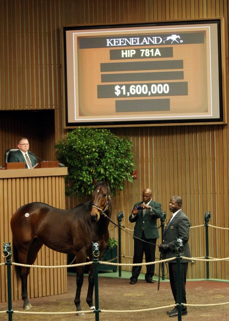 Mrs McDougal sells for $1.6 million to top day 2 of January Horses of All Ages Sale at Keeneland 1-9-18