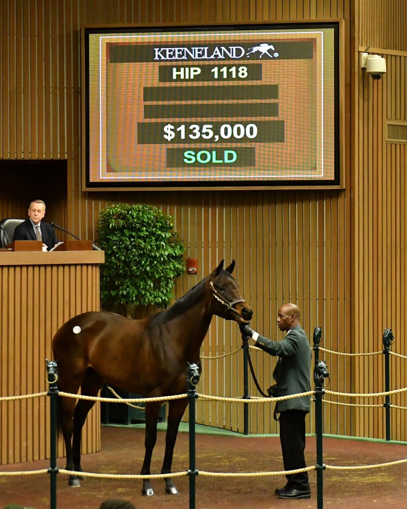 Fifth and Madison tops day 3 of January Horses of All Ages Sale at Keeneland 1-11-17