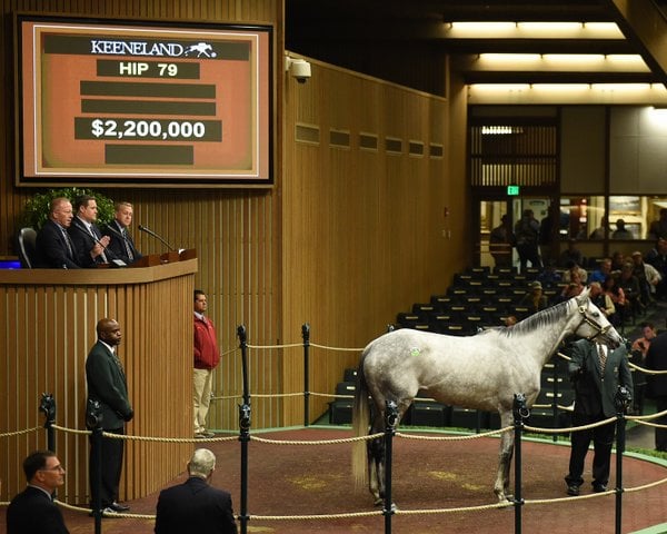 'Hard Not to Like' tops opening day of Keeneland's November Breeding Stock Sale at $2.2 million on 11-2-15