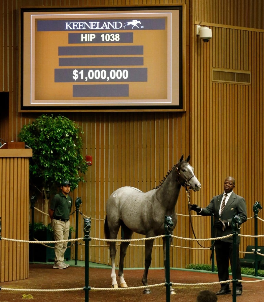 Tapit filly sells for $1 million at Keeneland September Yearling Sale 9-14-17