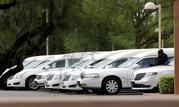 Hearses of the family members who were killed in a flash flood are parked outside St. Patrick church
