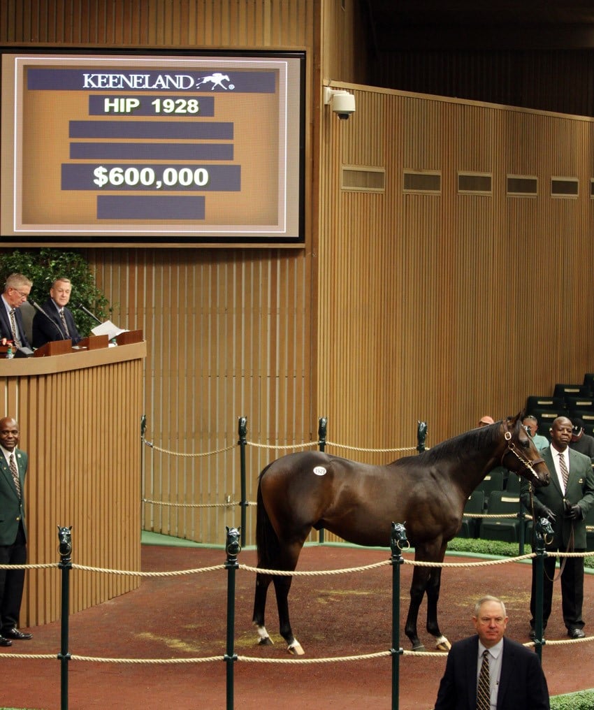 Bernardini colt tops yearling sale at Keeneland on 9-19-16 for $600