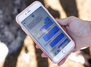 FILE - In this Feb. 15